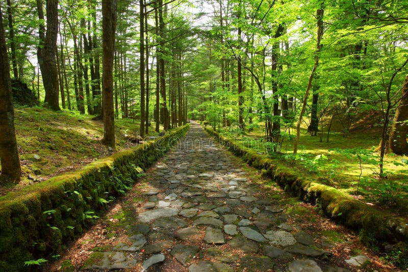 Stone paved road