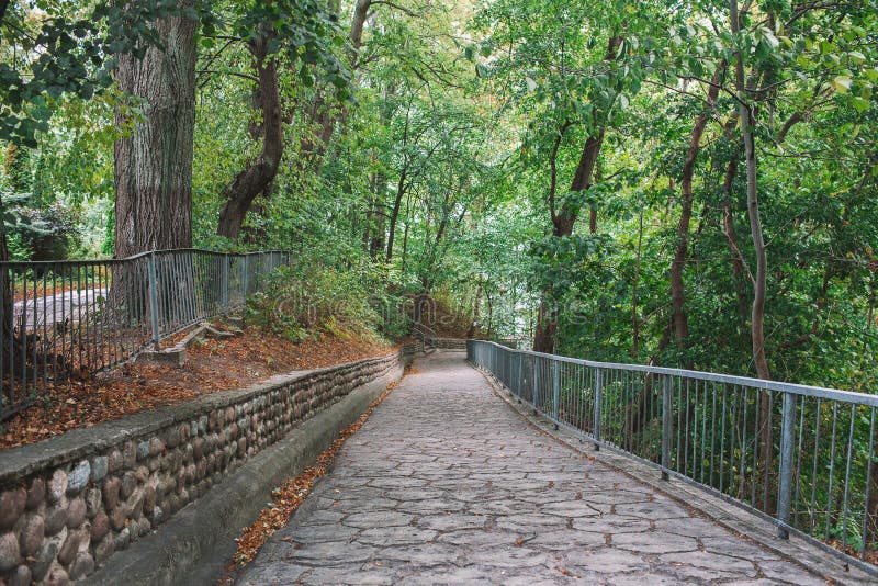 Stone paved road in a beautiful green forest. Trail road with nobody in a quiet place royalty free stock photos Stone paved road in a beautiful green forest. Trail road with nobody in a quiet place royalty free stock photos