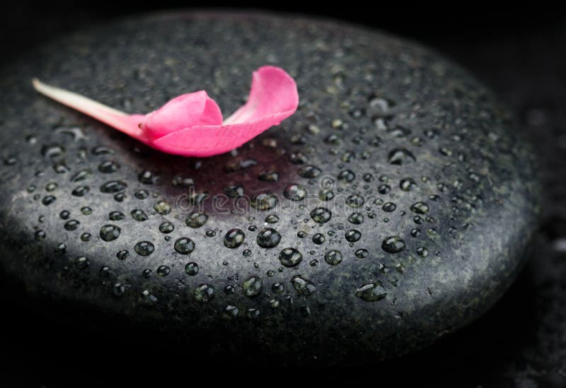 Petal stone