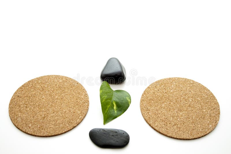 Stone with plant leaf stock image. Image of natural, green 32415689