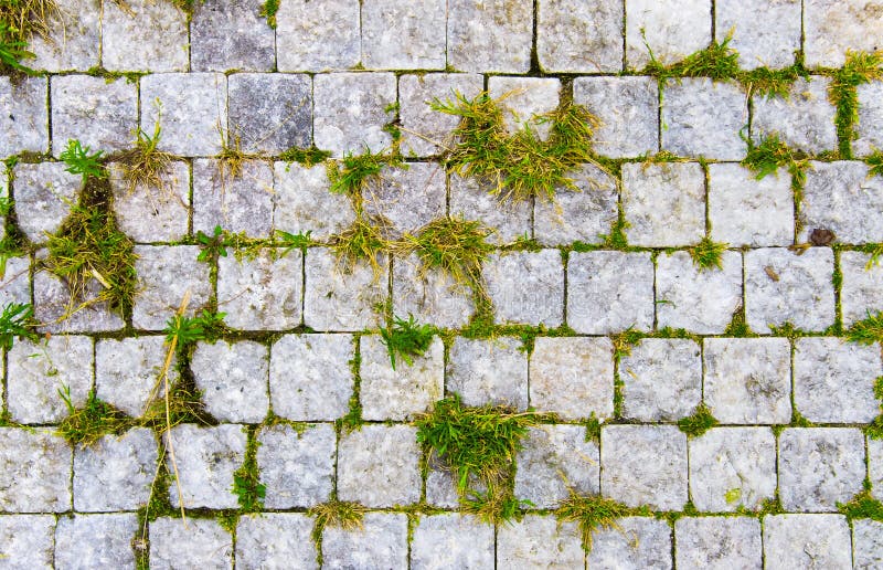 Stone road with green grass in cracks royalty free stock photography