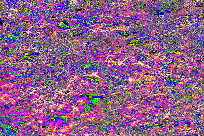 Stone, Shell Rock Texture Background. Texture of Shell Rock Limestone