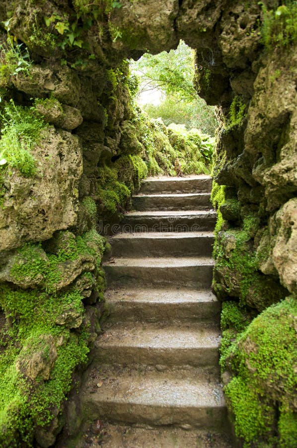 Stone stairs at nature