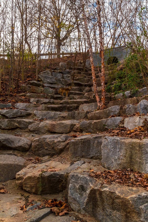 Stone stairs on Wetlands Trail in Piedmont Park, Atlanta, USA