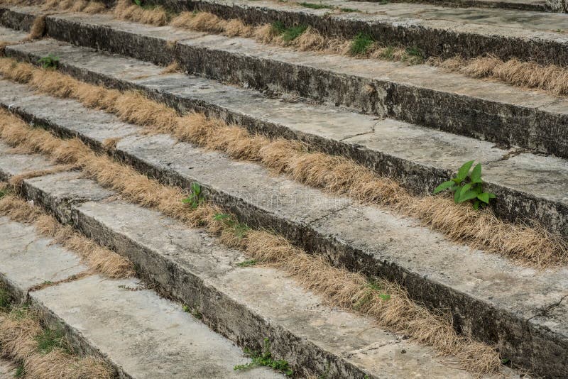 Stone steps, overgrown stairs closeup - old stairway