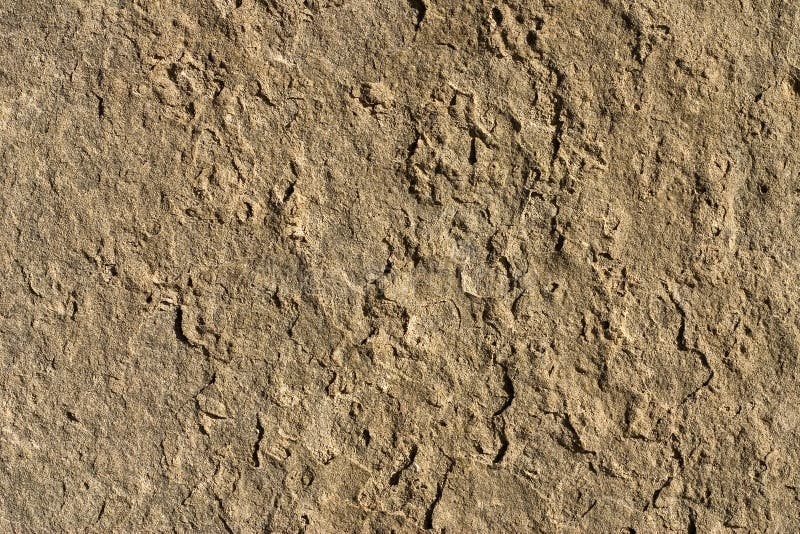 Stone texture