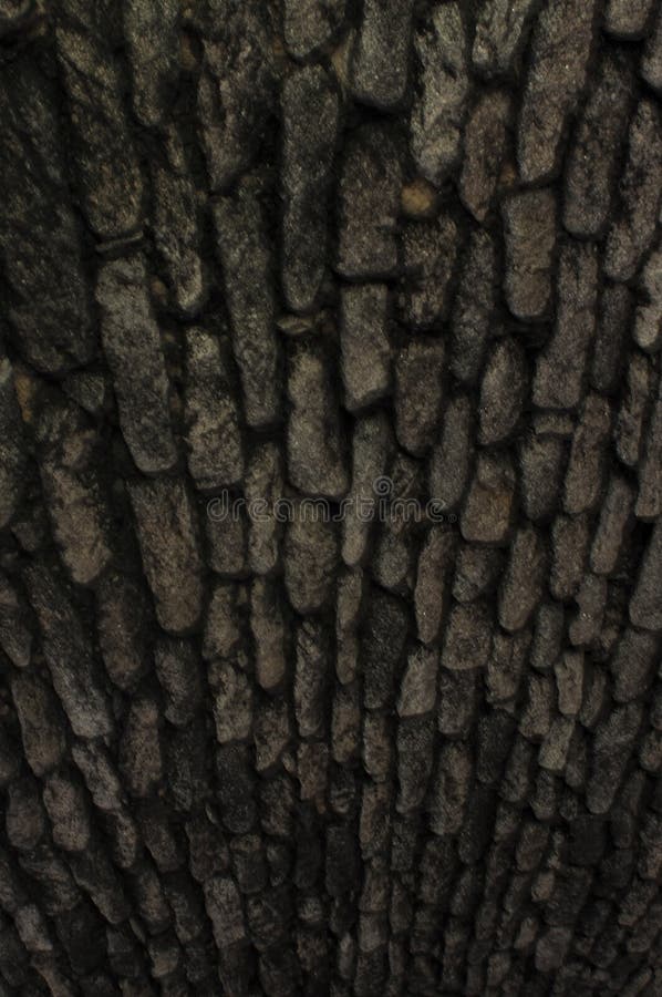 Stone Texture medieval High Definition stock photography