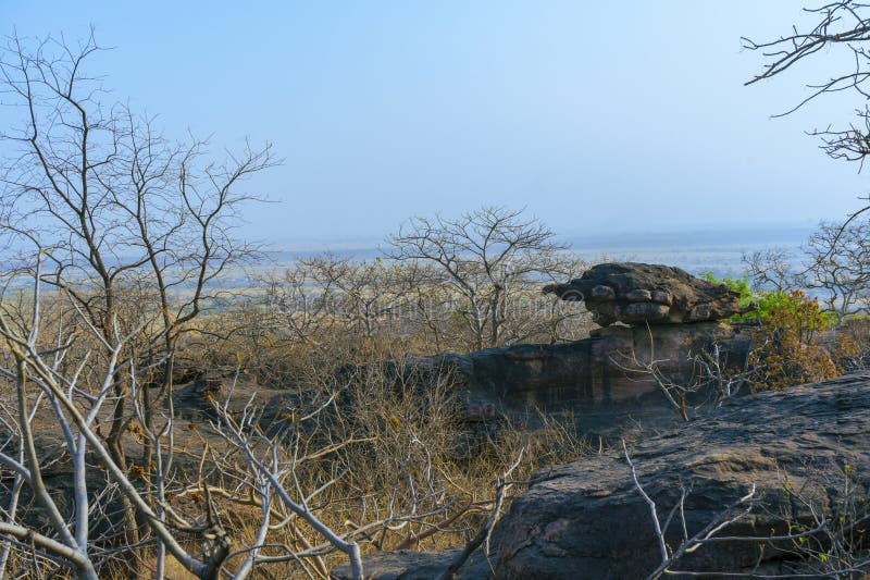 Stone Tortoise - Bhimbetka rock shelters