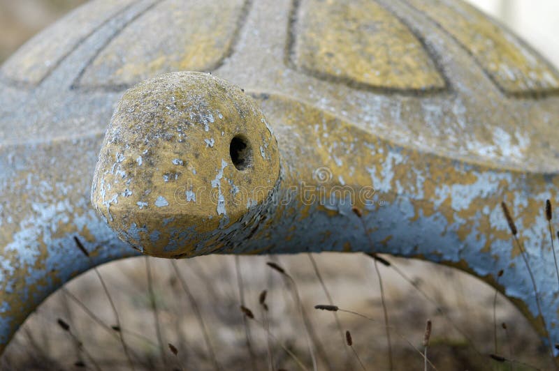 Stone tortoise face