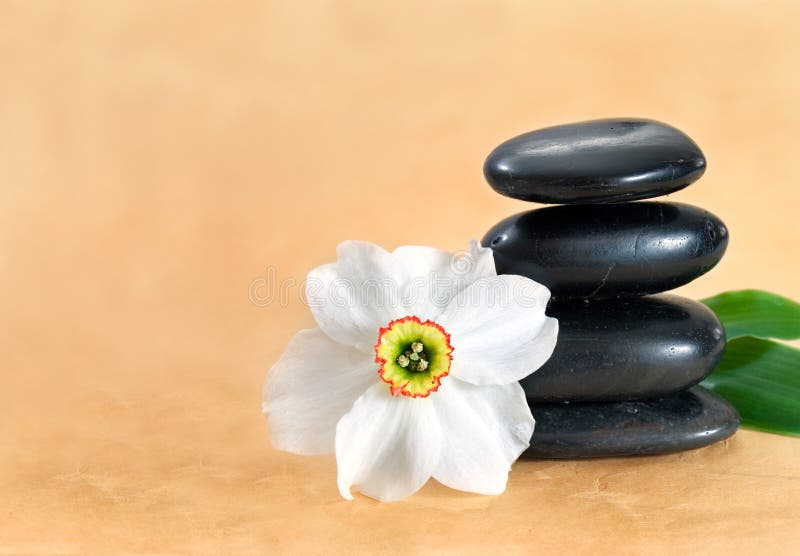 Stone tower and flower royalty free stock photography