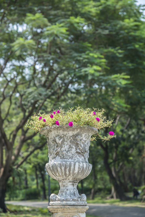 Stone Vase in the Old Classical Style with Flowers in the Park, Stock
