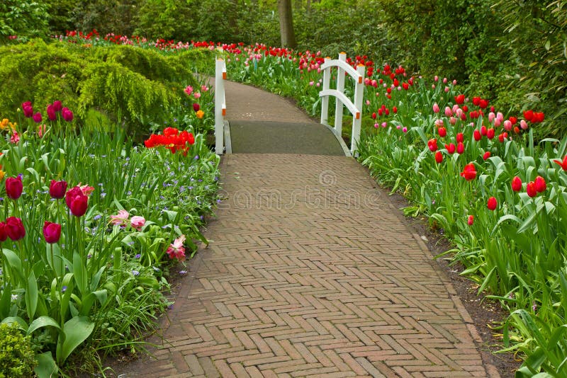 Stone walk way in garden