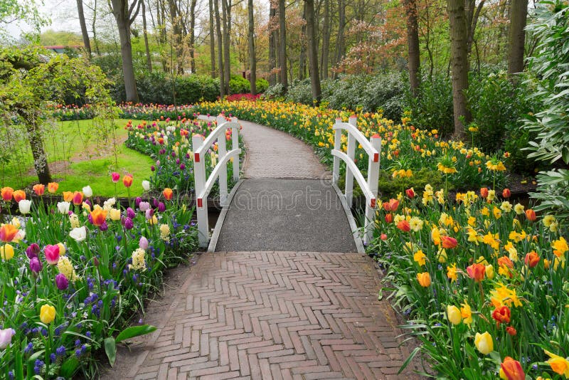 Stone walk way in garden