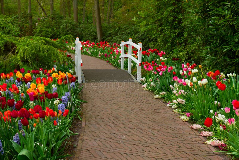 Stone walk way in garden