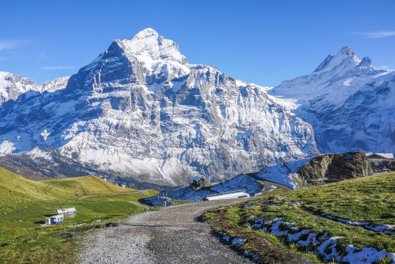 Stone walk way to mountain with snow, green grass and clear blue