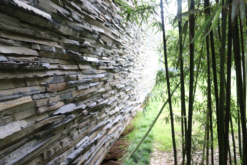 Stone wall and bamboo stock photo. Image of design, wall 122585088