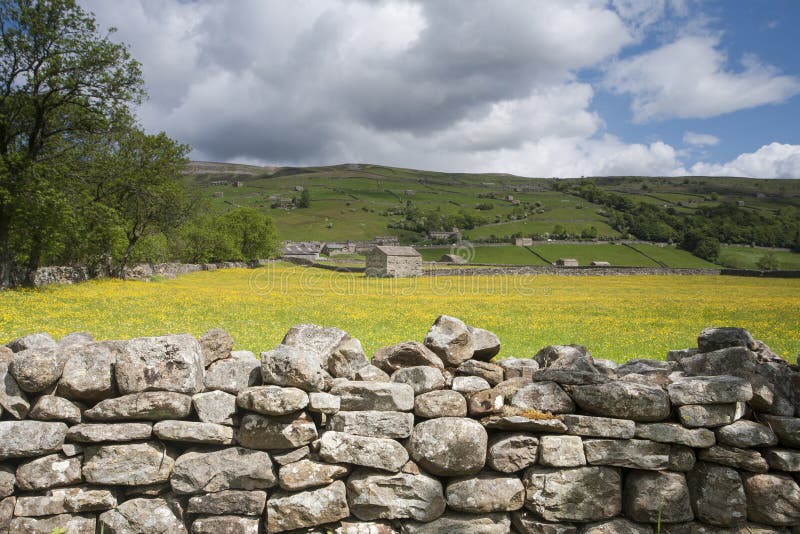 Stone Wall and barn, Swaledale, Yorkshire Dales