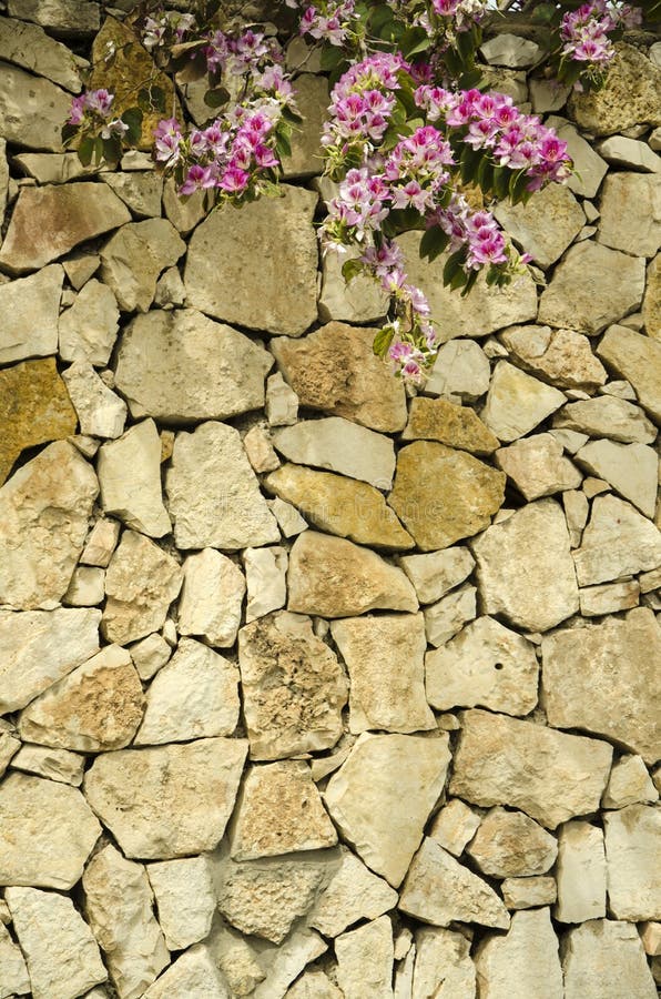 Stone wall with flowers stock photo. Image of beauty 52087980