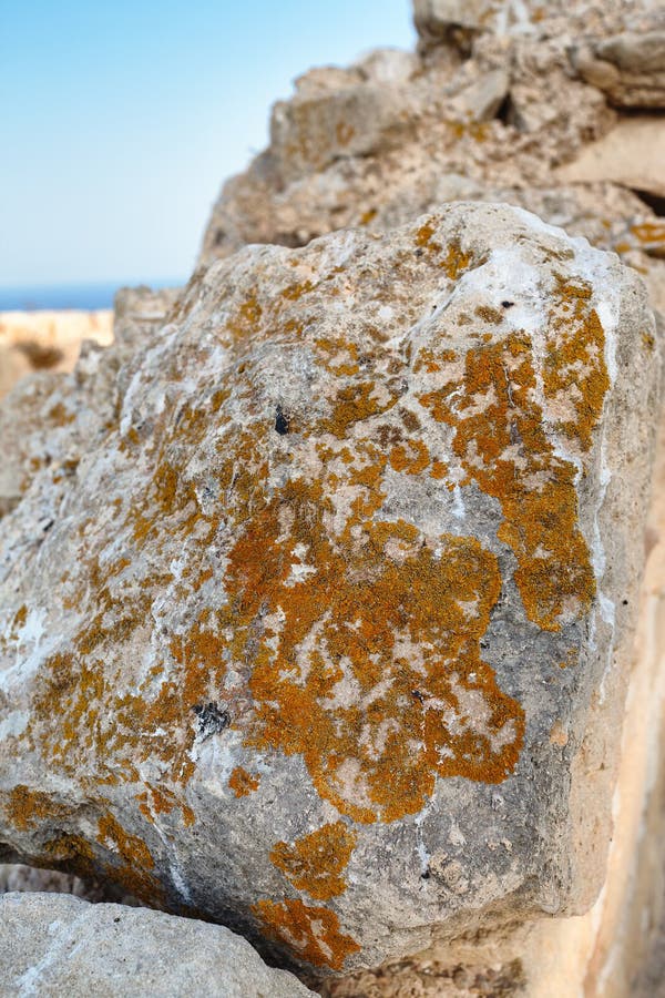 The stone in the wall of the fortress Santa Barbara, covered with lichen. royalty free stock images The stone in the wall of the fortress Santa Barbara, covered with lichen. royalty free stock images