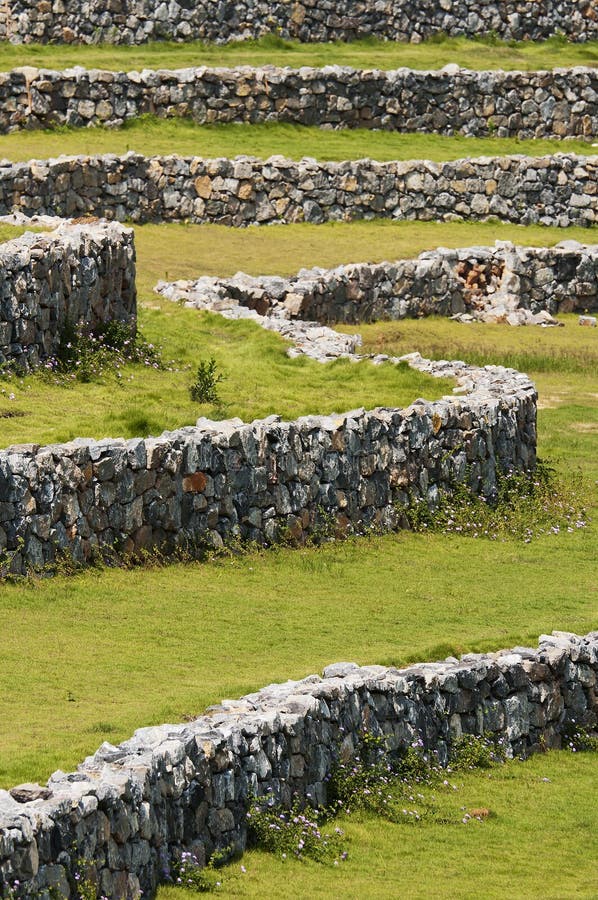 Stone wall and grass