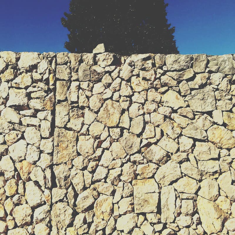 Stone wall tree stock image. Image of tree, green, wall 86317409