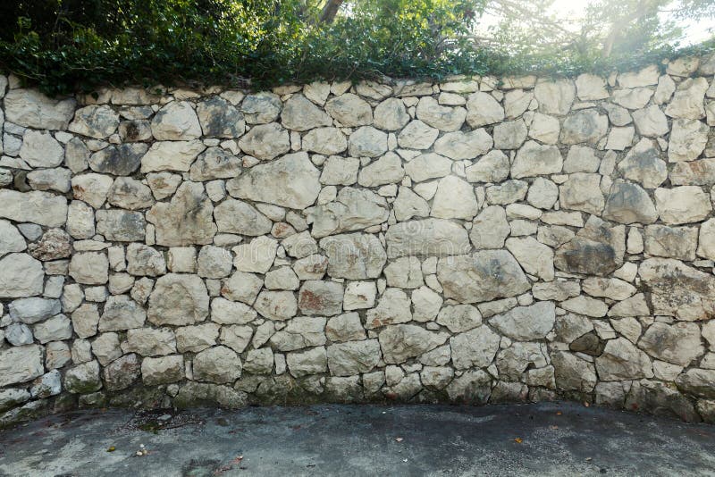 Stone wall in the woods stock image. Image of natural 236533383