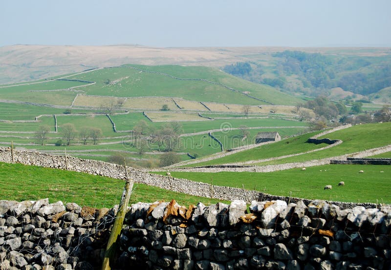 Stone wall in Yorkshire Dales (UK)