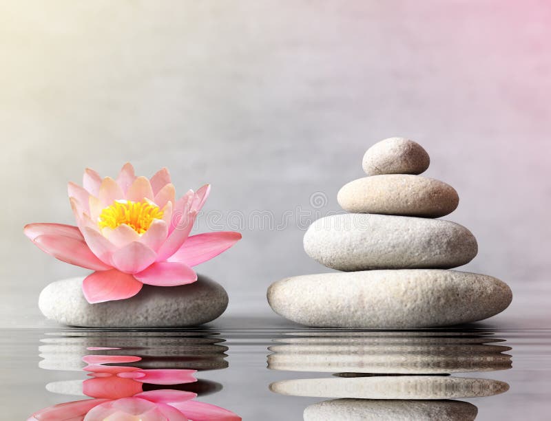 Stones Balance with Flower Lily on Grey Background Stock Photo - Image ...