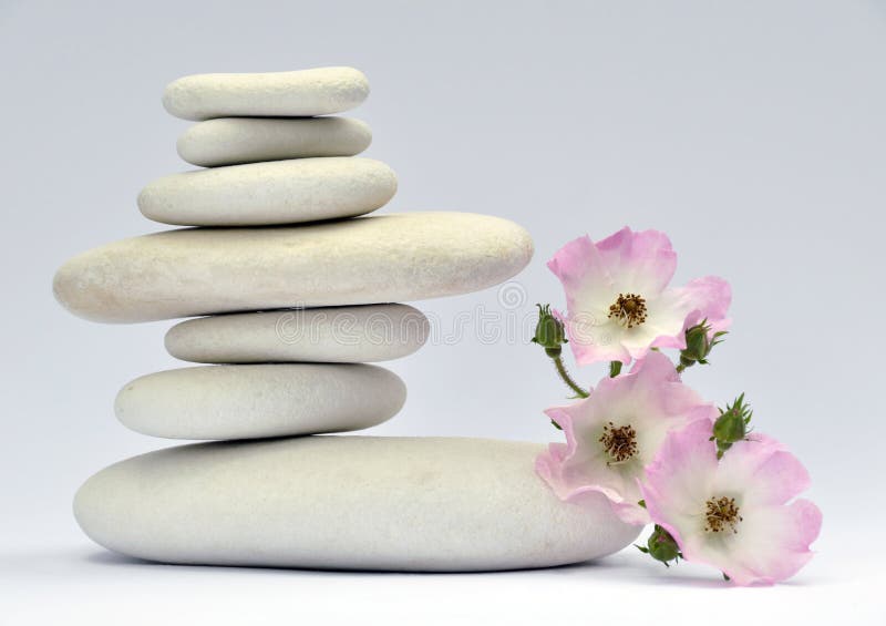 Stones and flowers stock image. Image of pile, green 16261573