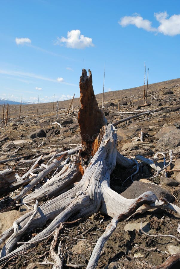 Acid Rain Erosion Stock Photos Free & RoyaltyFree Stock Photos from