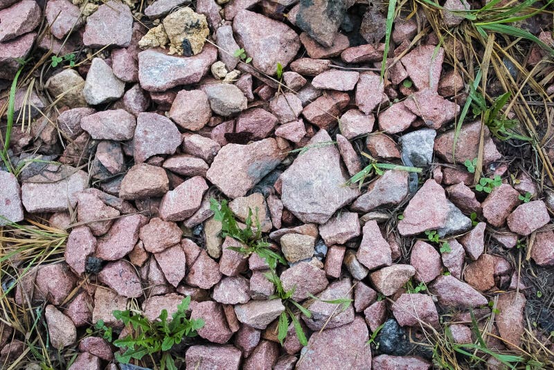 Stones with Germinating Grass Stock Photo Image of cobblestone
