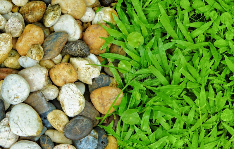 Stones on Grass stock image. Image of ancient, landscaping 11038363