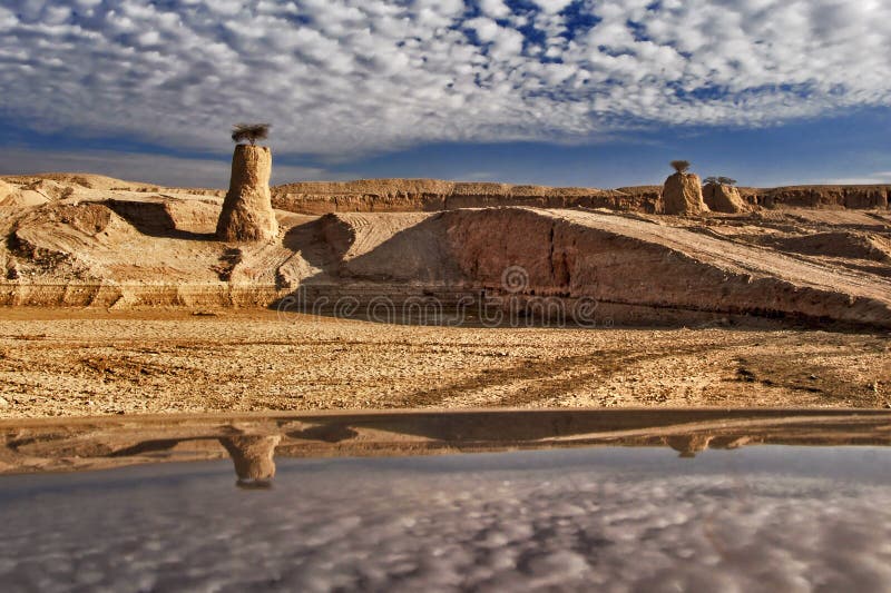 Stones of the Negev