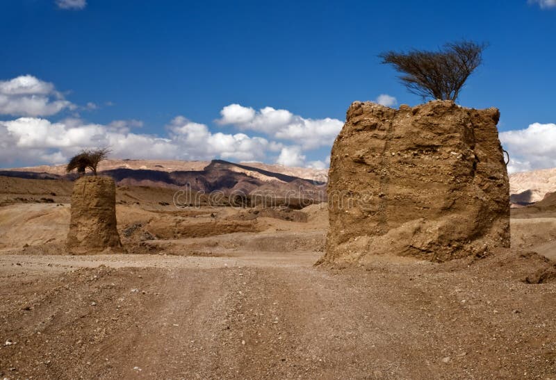 Stones of the Negev