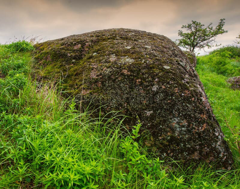 Stones and plants stock image. Image of meadow, nature 52797847
