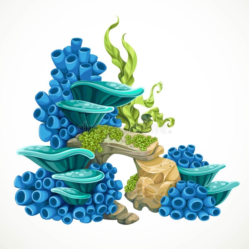 Aquarium Decoration Stock Illustrations – 39,686 Aquarium