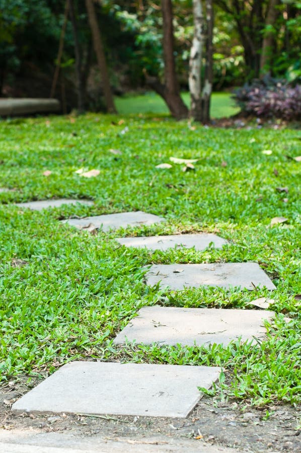Stones walkway in garden. stock photo. Image of garden - 62347620