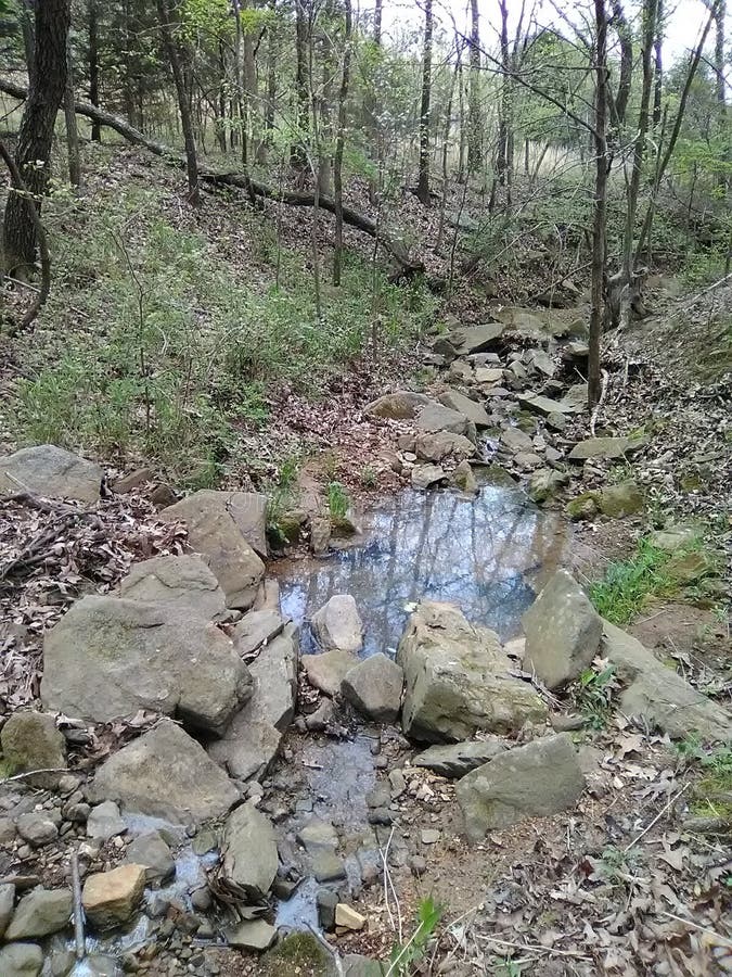 Stoney Creeks Hazy Reflection Stock Image Image of forest, reflection