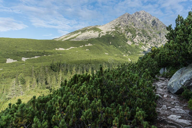 Stony path leading to Mala Vysoka