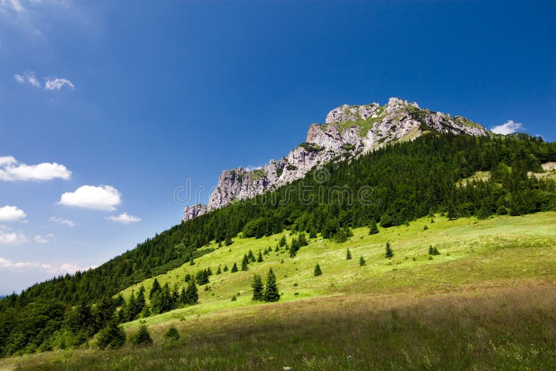 Stony peak in summer