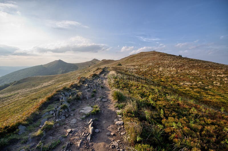 Stony path in the woods stock image. Image of foliage 34840011