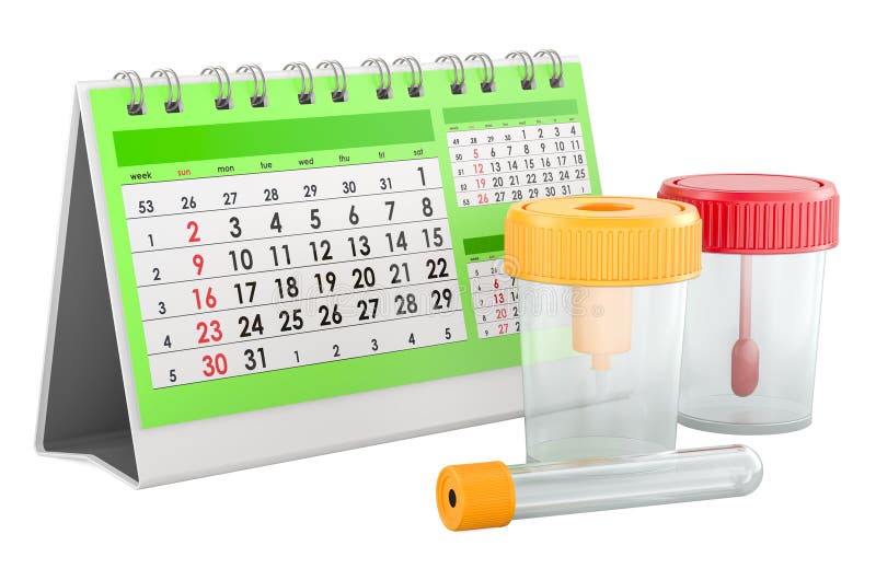 Stool and Urine Analysis, concept. Desk calendar with Containers for Stool Sample and Urine. 3D rendering royalty free illustration