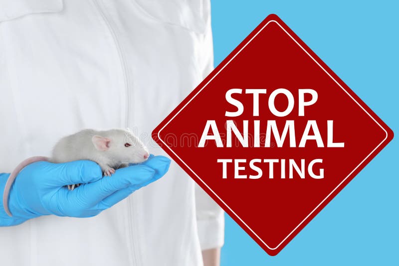 Testing stop animal Why Is