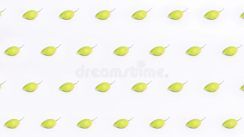 Stop motion animation rotating mango vector illustration