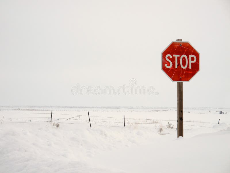 Stop Sign in Winter