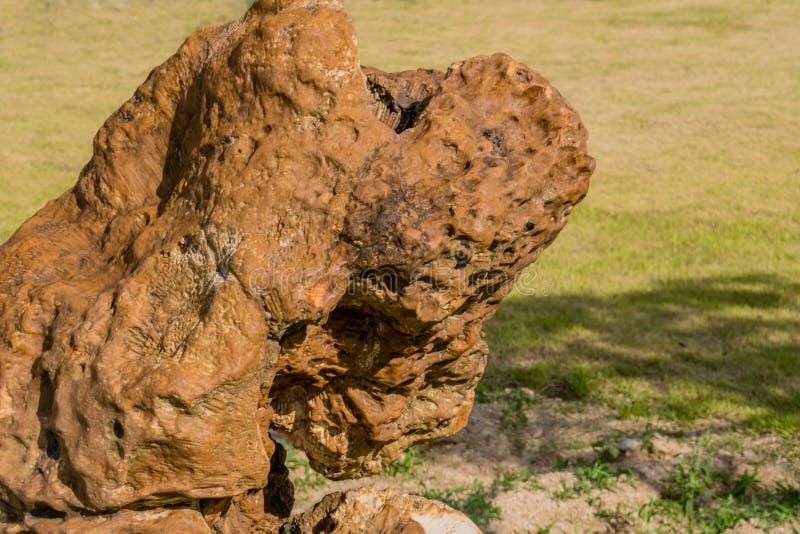 Stor bit brungranit royaltyfria bilder