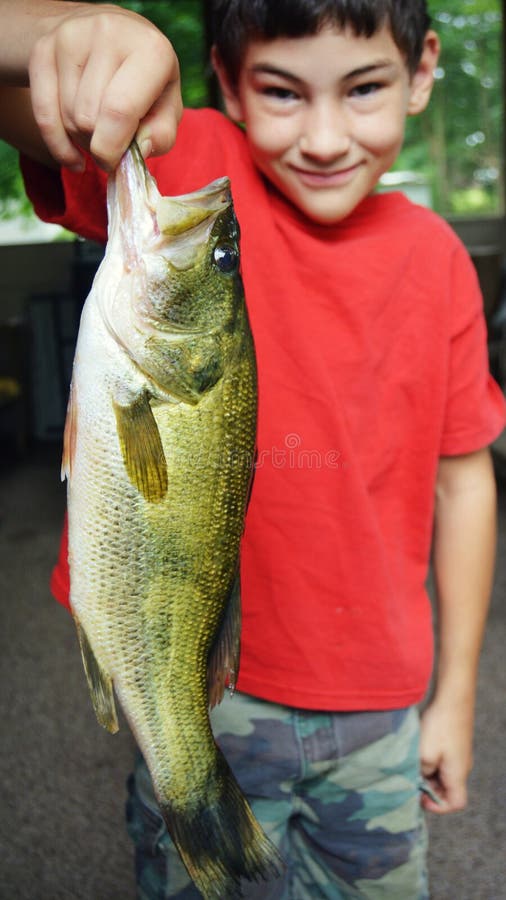 Stor mun Bass Fish royaltyfri fotografi
