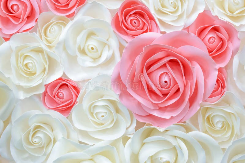 Stora jätte- pappers- blommor Stora rosa färger, vit, beigaros, pion som göras från papper För pappers- älskvärd stil bakgrundsmo royaltyfri foto