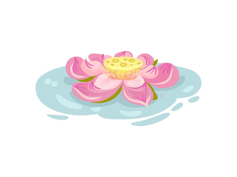 Stora rosa färger blommar waterlily white f?r vektor f?r bakgrundsillustrationhaj stock illustrationer Stora rosa färger blommar waterlily white f?r vektor f?r bakgrundsillustrationhaj stock illustrationer