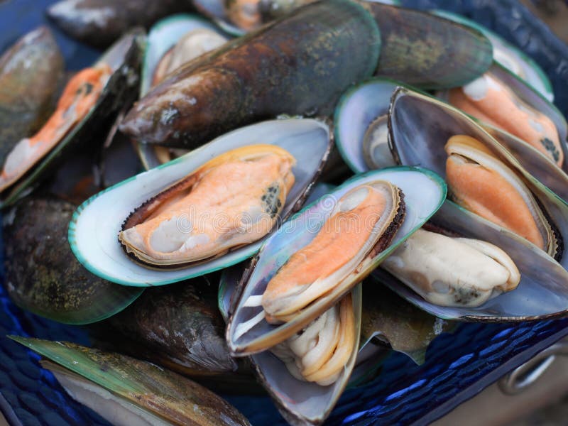 Stora smaskiga musslor på den blåa plattan royaltyfri bild